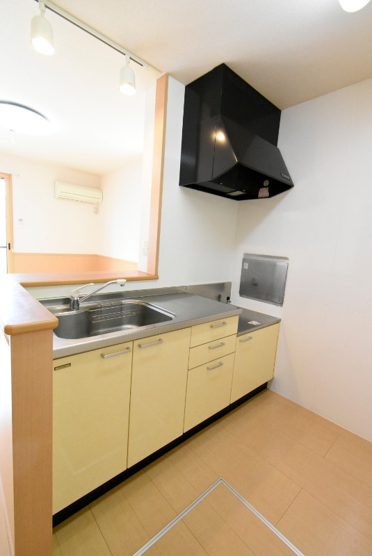 ��ʌ��������܎s����厚���V�n�̃A�p�[�g�̃L�b�`��