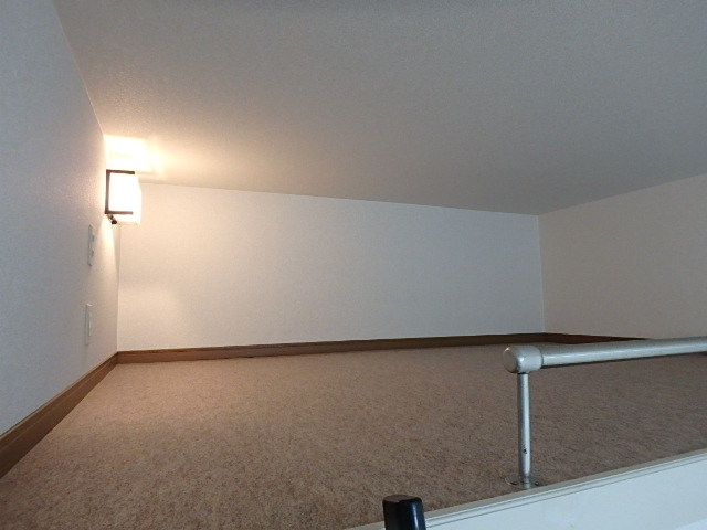 ��ʌ�����s�厚�����̃A�p�[�g�̐Q��