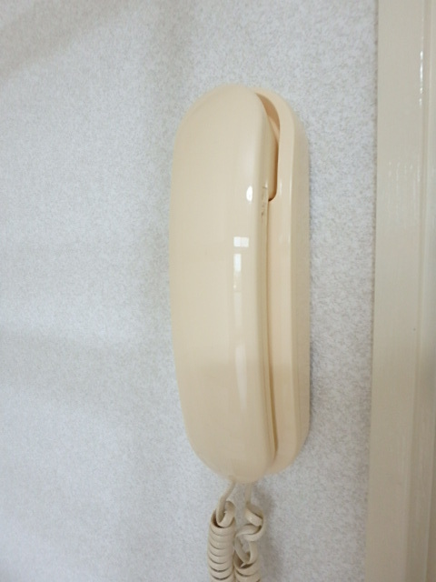 ��ʌ�����s�厚�����̃A�p�[�g�̂��̑�