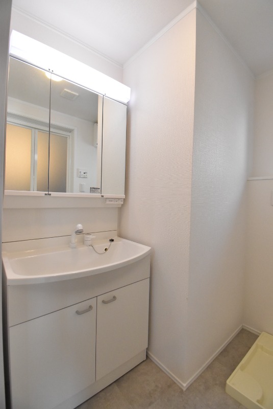 ��ʌ�����s������T���ڂ̈�ˌ��Ă̐��ʏ�