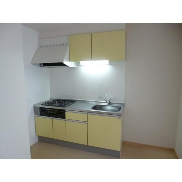 ��ʌ��@�c�s���m�؂Q���ڂ̃A�p�[�g�̃L�b�`��