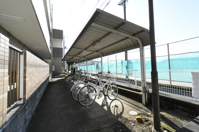 ��ʌ�����s��c�{�̃}���V�����̂��̑�