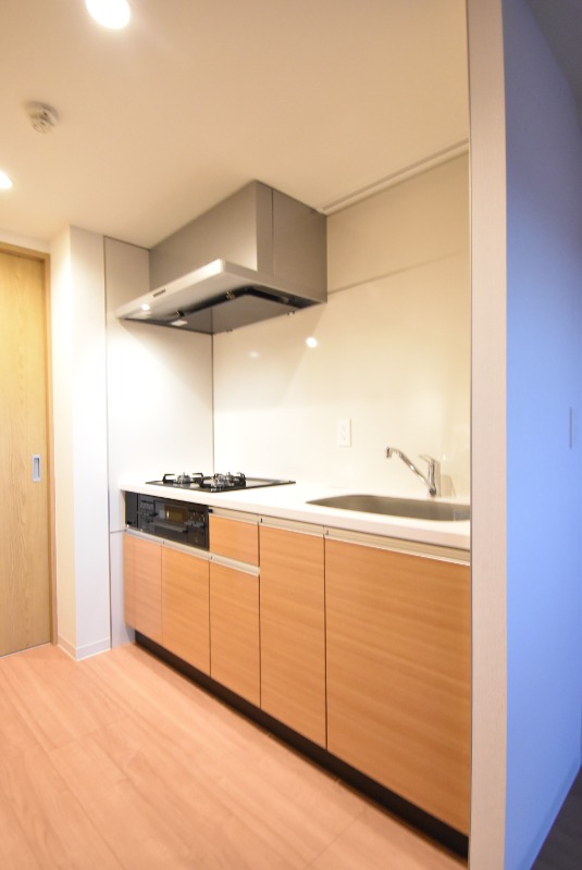 ��ʌ��������܎s��΋�������Q���ڂ̃}���V�����̃L�b�`��