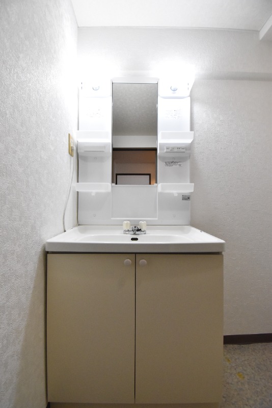 ��ʌ�����s�����P���ڂ̃}���V�����̐��ʏ�