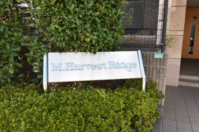 ��ʌ�����s�V�䒬�̃}���V�����̎���