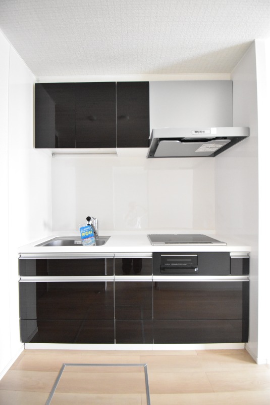 ��ʌ�����s�����U���ڂ̃A�p�[�g�̃L�b�`��