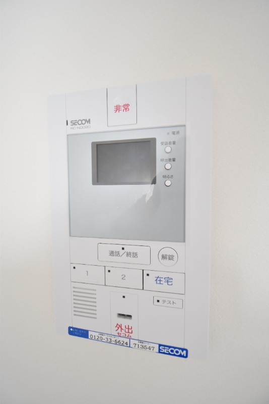 ��ʌ���z�s���g���̃}���V�����̂��̑�