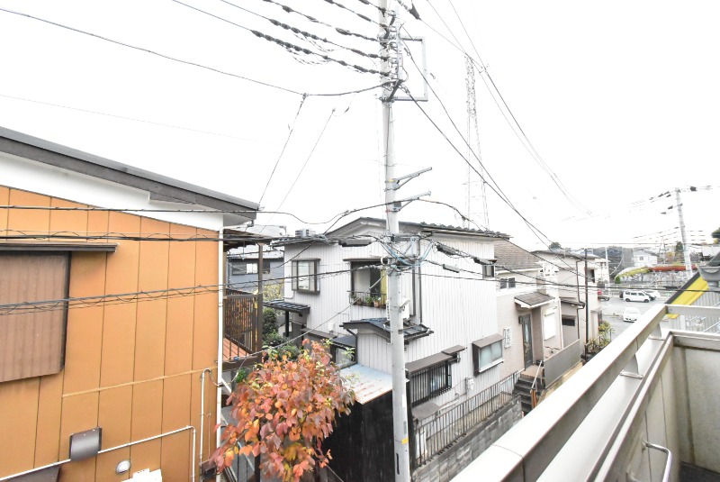 ��ʌ�����s�厚�ԎR�̃}���V�����̂��̑�