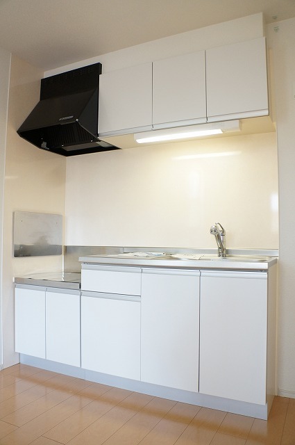 ��ʌ��������܎s������~����U���ڂ̃A�p�[�g�̃L�b�`��