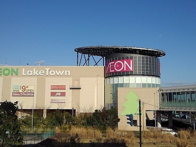 ��ʌ��z�J�s���C�N�^�E���W���ڂ̃}���V�����̎���