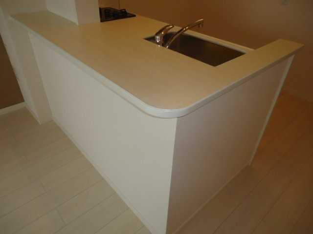 ��ʌ��������܎s������厚�@���̃A�p�[�g�̃L�b�`��