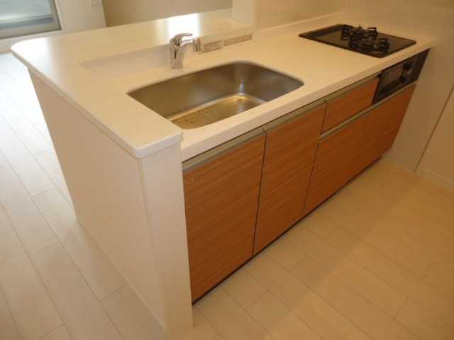 ��ʌ��������܎s������厚�@���̃A�p�[�g�̃L�b�`��