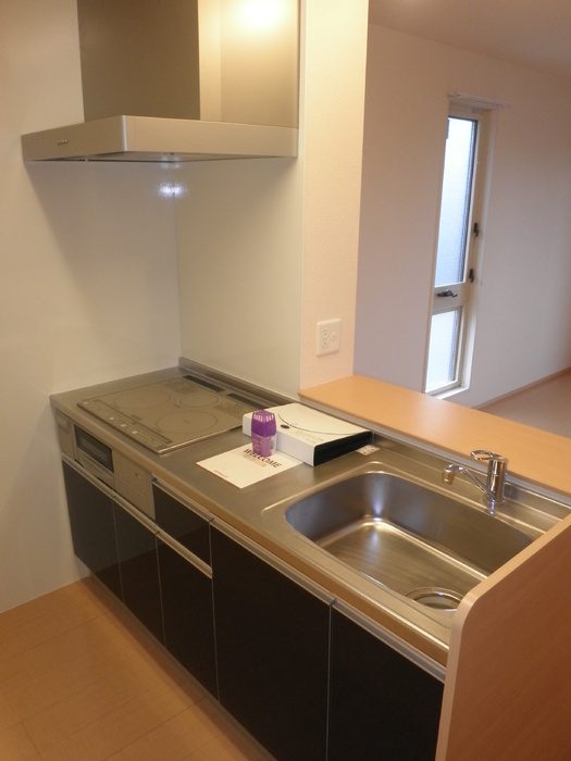 ��ʌ��������܎s�k����i���Q���ڂ̃A�p�[�g�̃L�b�`��