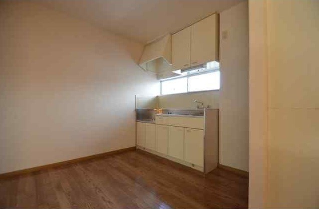 ��ʌ��������܎s����厚�_�c�̃A�p�[�g�̃L�b�`��