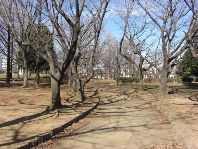 ��ʌ��������܎s����厚�_�c�̃A�p�[�g�̎���