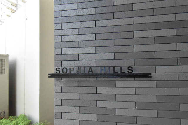 ��ʌ��z�J�s�z���J�P���ڂ̃}���V�����̂��̑�