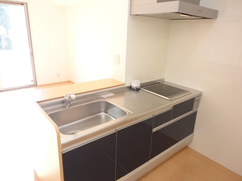 ��ʌ��������܎s�����攪���q�R���ڂ̃A�p�[�g�̃L�b�`��