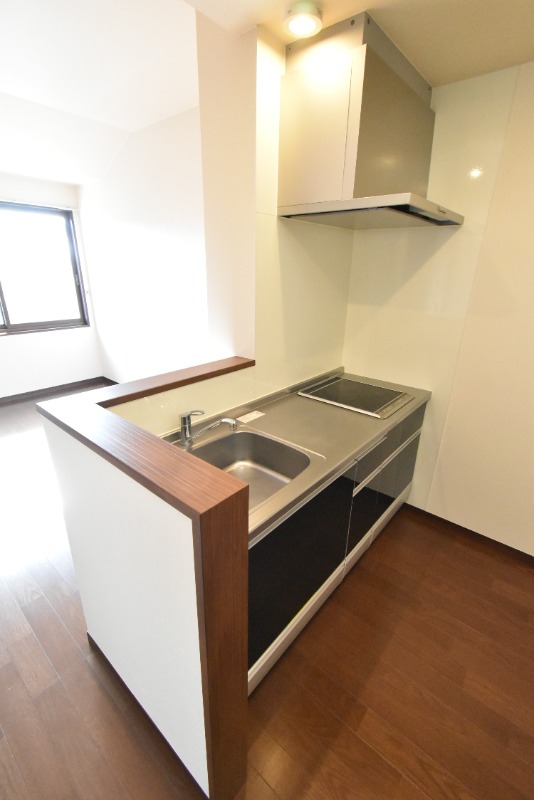 ��ʌ��������܎s����厚���v�ۂ̃A�p�[�g�̃L�b�`��