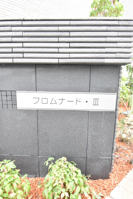 ��ʌ��������܎s����厚�w��̃A�p�[�g�̎���