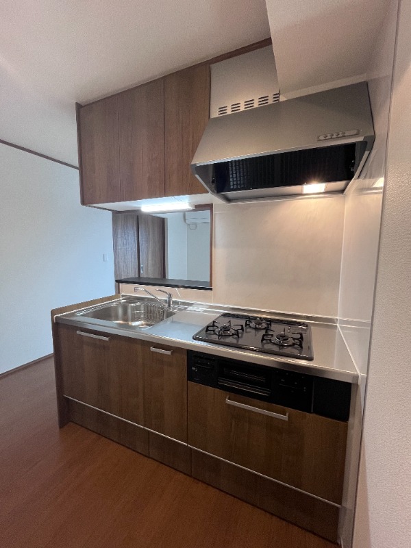 ��ʌ��@�c�s�厚���l�̈�ˌ��ẴL�b�`��