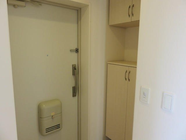 ��ʌ��z�J�s���C�N�^�E���Q���ڂ̃}���V�����̌���