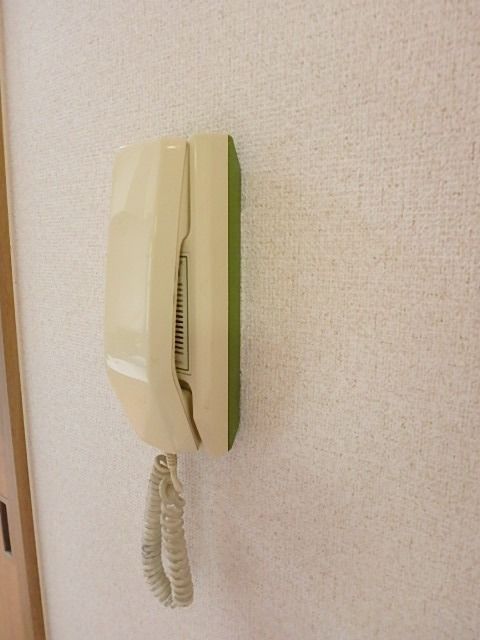 ��ʌ��������܎s��{��k�ܒ��Q���ڂ̃A�p�[�g�̂��̑��ݔ�