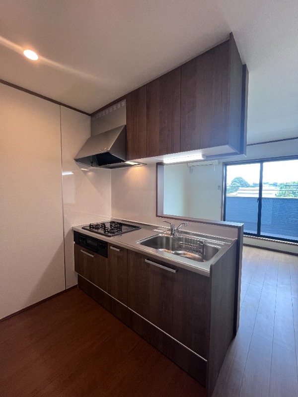 ��ʌ��@�c�s�厚���l�̈�ˌ��ẴL�b�`��