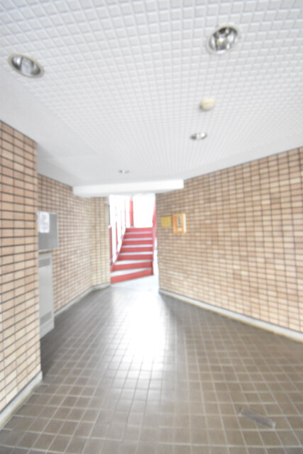 ��ʌ�����s������S���ڂ̃}���V�����̃G���g�����X