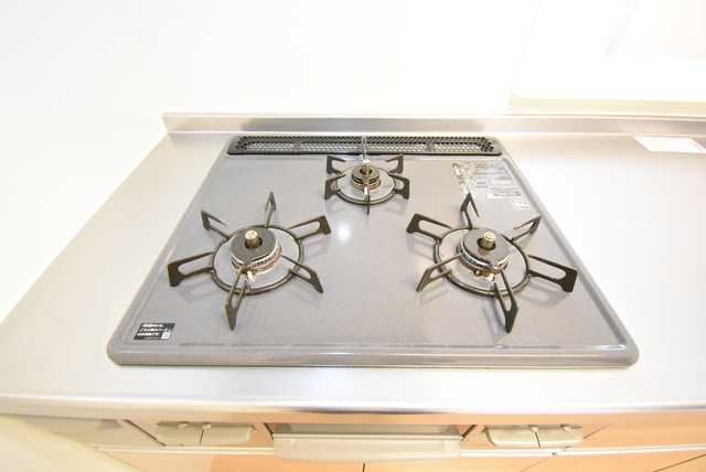 ��ʌ��������܎s�Y�a���؍�U���ڂ̃A�p�[�g�̂��̑��ݔ�