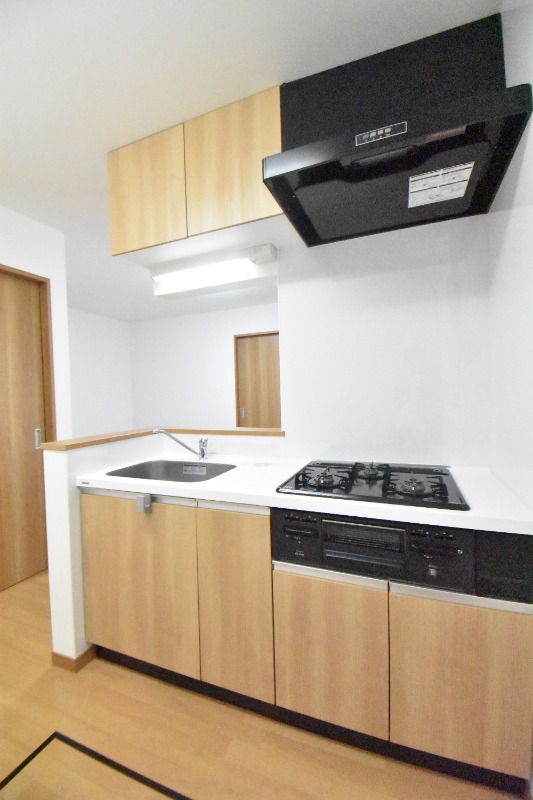 ��ʌ��������܎s��΋���q�P���ڂ̃A�p�[�g�̃L�b�`��