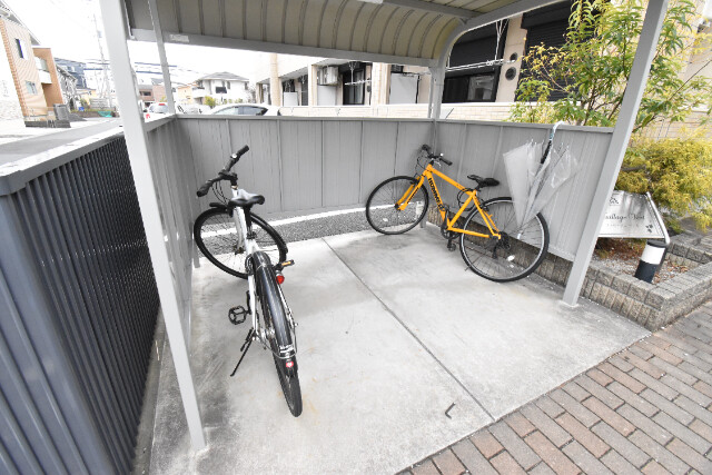 ��ʌ��z�J�s���C�N�^�E���P���ڂ̃}���V�����̂��̑�