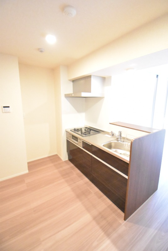 ��ʌ��������܎s�Y�a���ՂV���ڂ̃}���V�����̃L�b�`��