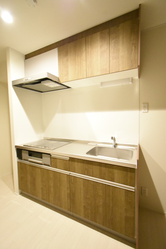 ��ʌ�����s�J�ÂQ���ڂ̃A�p�[�g�̃L�b�`��