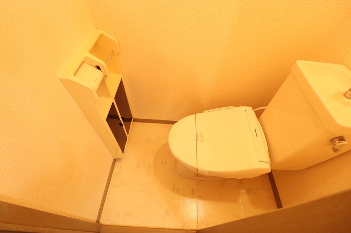 ��ʌ��k�����S�ɓޒ��h�T���ڂ̃A�p�[�g�̃g�C��