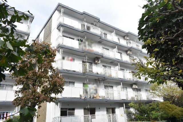 ��ʌ�����s����w���R����6-1�̃}���V�����̌����O��