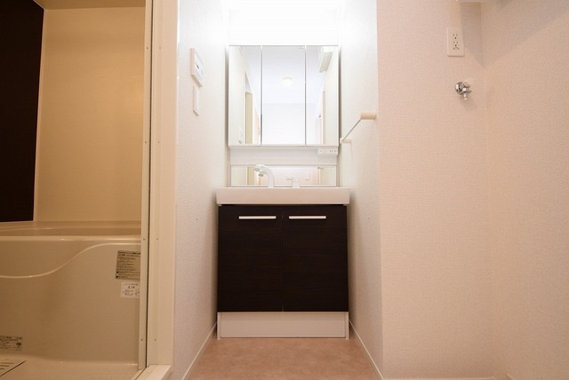 ��ʌ�����s�厚�����q�V�c�̃A�p�[�g�̐��ʏ�