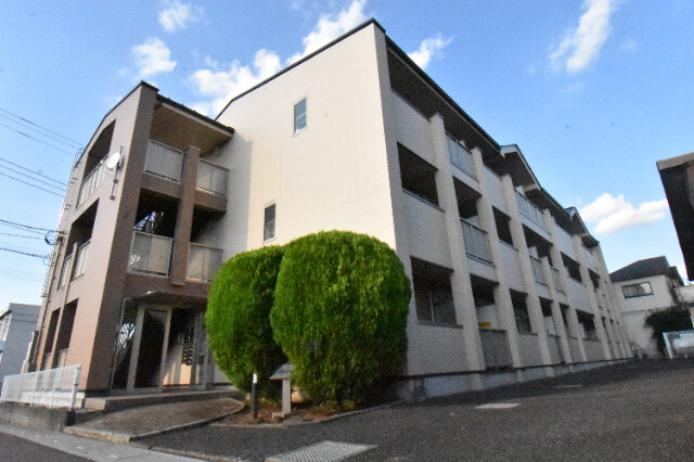 ��ʌ��k�����S�ɓޒ����h��P���ڂ̃}���V�����̃G���g�����X