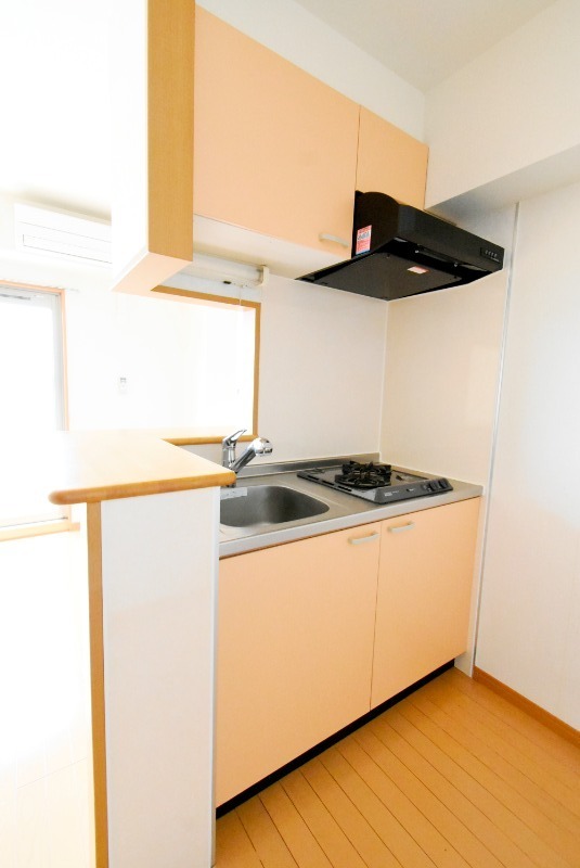 ��ʌ��������܎s�k��{�����R���ڂ̃}���V�����̃L�b�`��