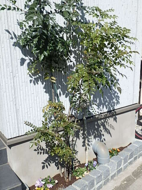 ��ʌ��������܎s��{����ؒ��S���ڂ̃A�p�[�g�̂��̑�