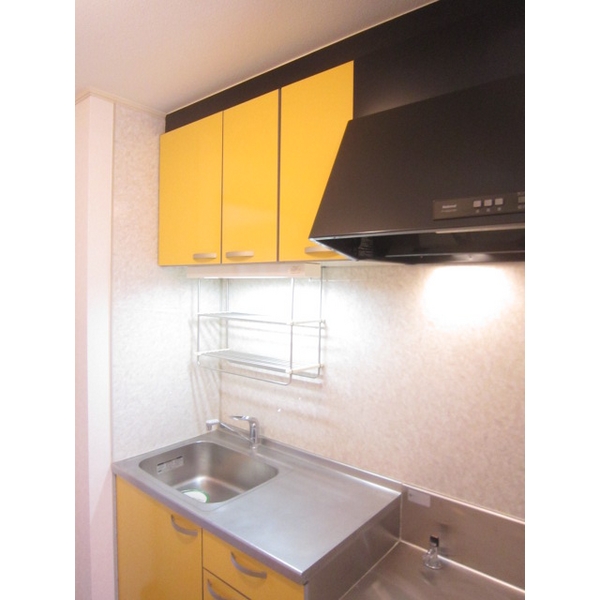 ��ʌ�����s�厚���̃A�p�[�g�̃L�b�`��