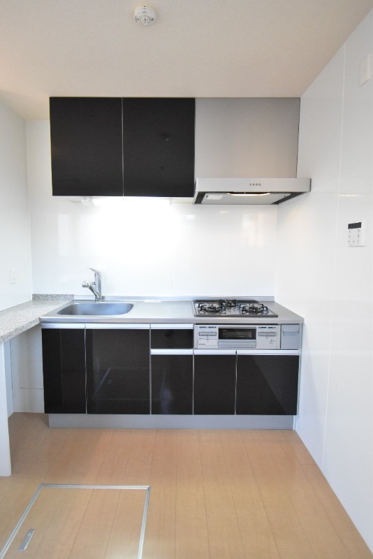 ��ʌ�����s�˒˓��S���ڂ̃A�p�[�g�̃L�b�`��