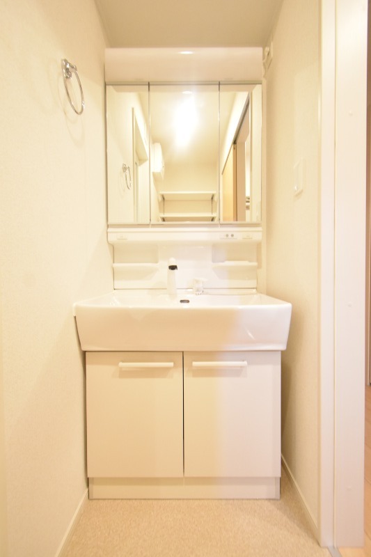 ��ʌ��������܎s����厚�_�c�̃A�p�[�g�̐��ʏ�