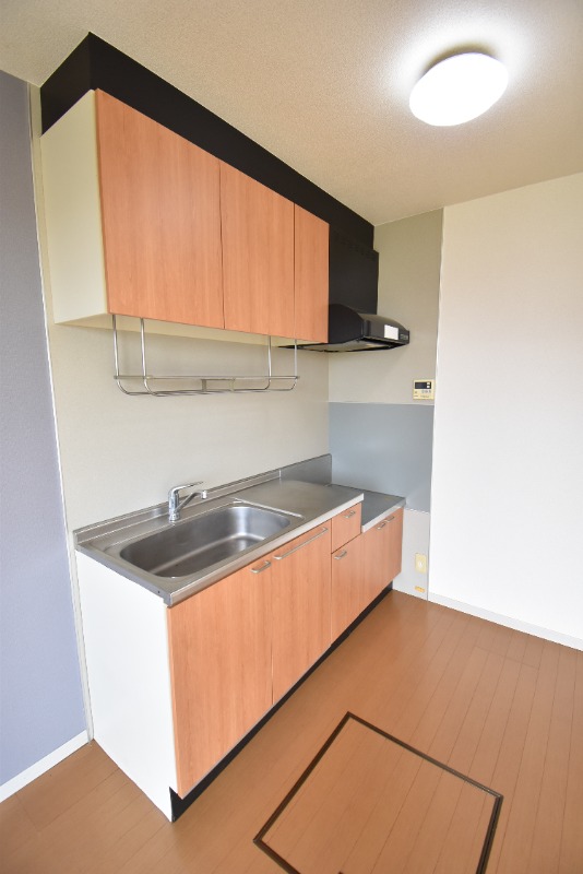 ��ʌ��������܎s����厚���V�n�̃A�p�[�g�̃L�b�`��