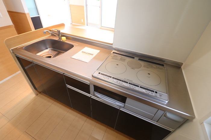 ��ʌ��������܎s����厚��v�ۗ̉Ƃ̃A�p�[�g�̃L�b�`��