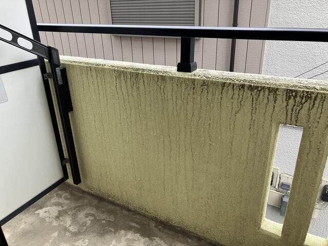 ��ʌ��������܎s��΋�厚�^�����̃}���V�����̃o���R�j�[