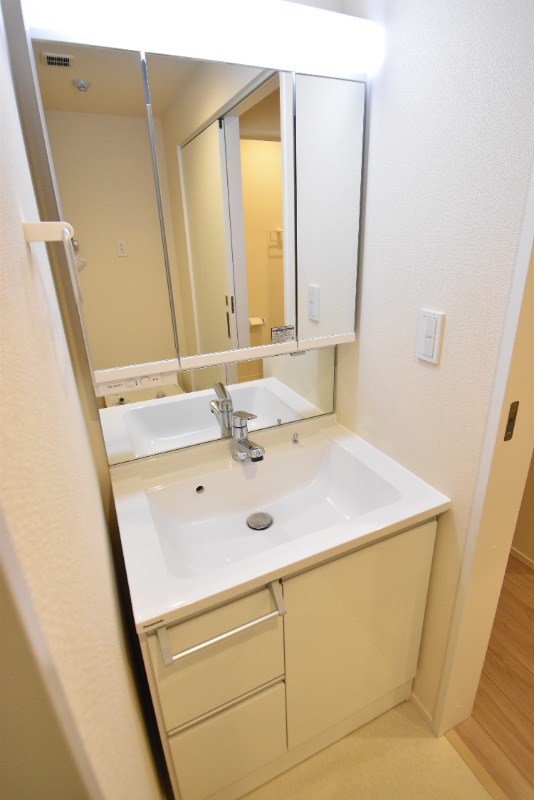 ��ʌ�����s���L�R���ڂ̃}���V�����̐��ʏ�