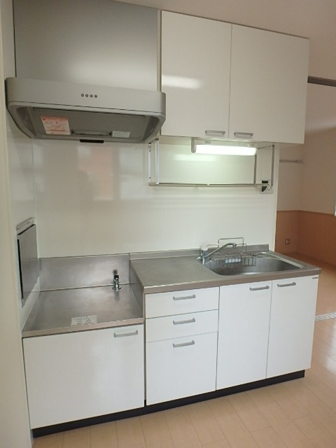 ��ʌ��������܎s�Y�a���؍�S���ڂ̃A�p�[�g�̃L�b�`��