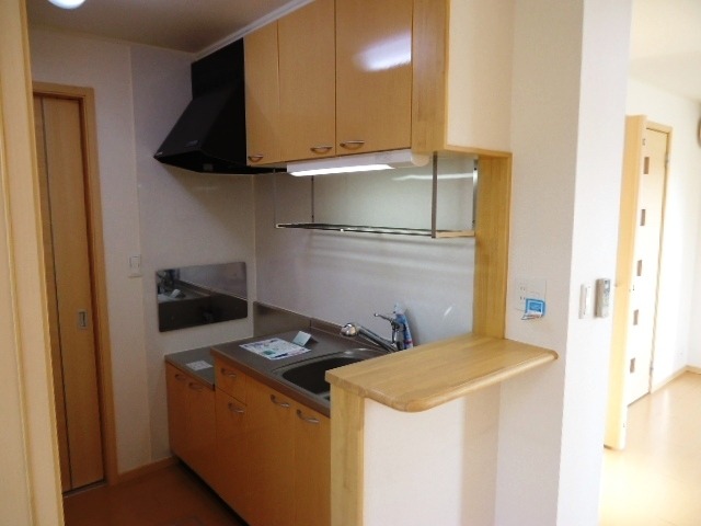 ��ʌ��k�����S�ɓޒ��厚�����̃A�p�[�g�̃L�b�`��