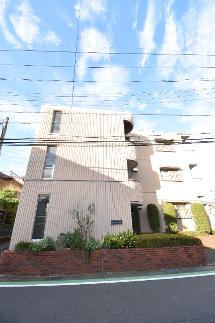 ��ʌ�����s������S���ڂ̃}���V�����̌����O��