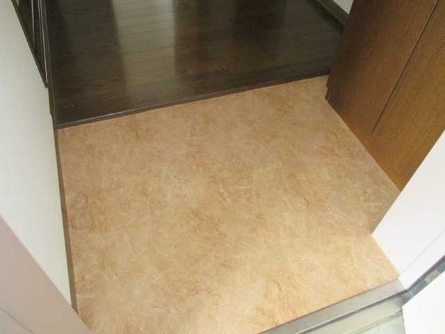 ��ʌ�����s��c�{�̃}���V�����̌���